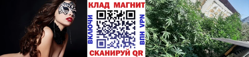 Купить Вуктыл Гашиш  A PVP  Меф  Бошки Шишки  Кокаин 