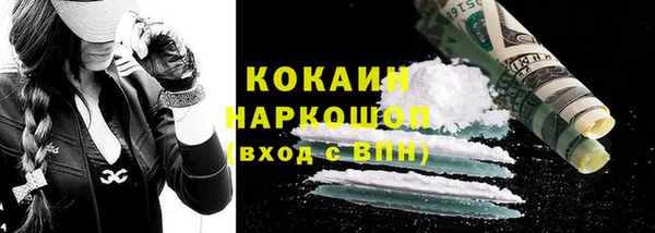 mdpv Бородино