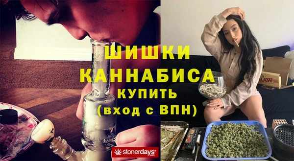 mdpv Бородино