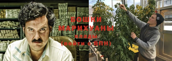 mdpv Бородино